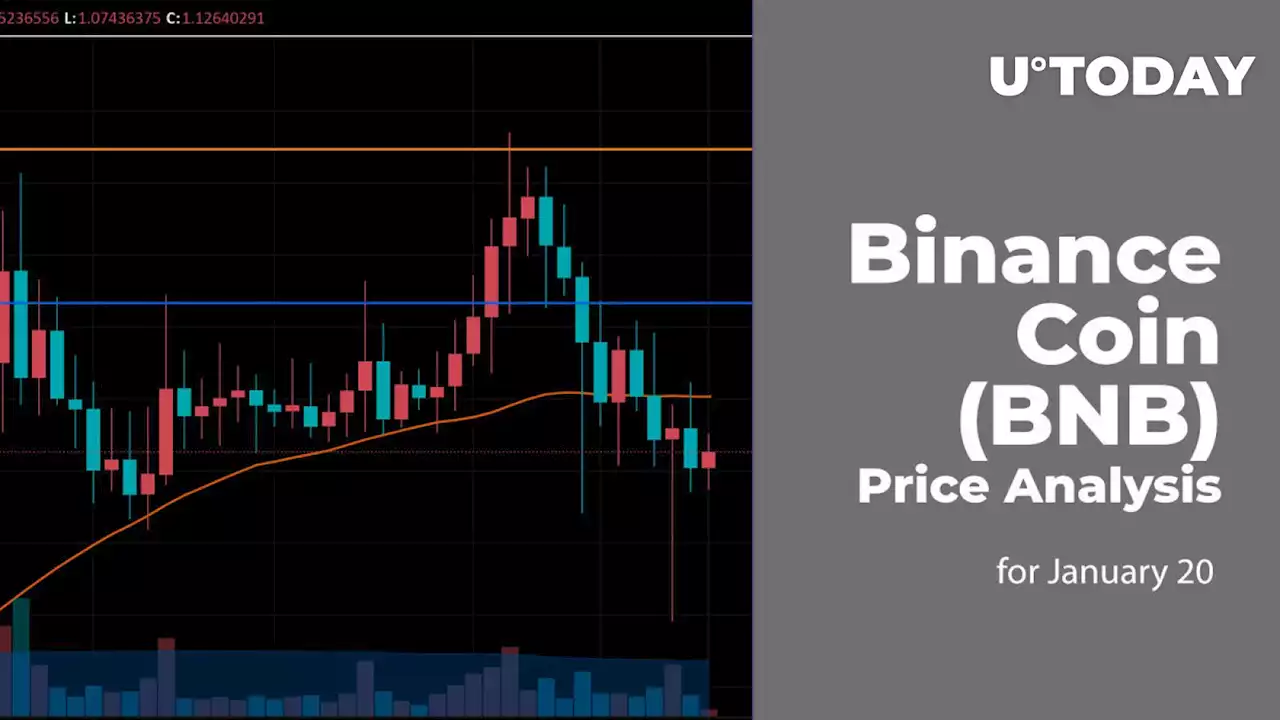 Binance Coin (BNB) Price Analysis for January 20