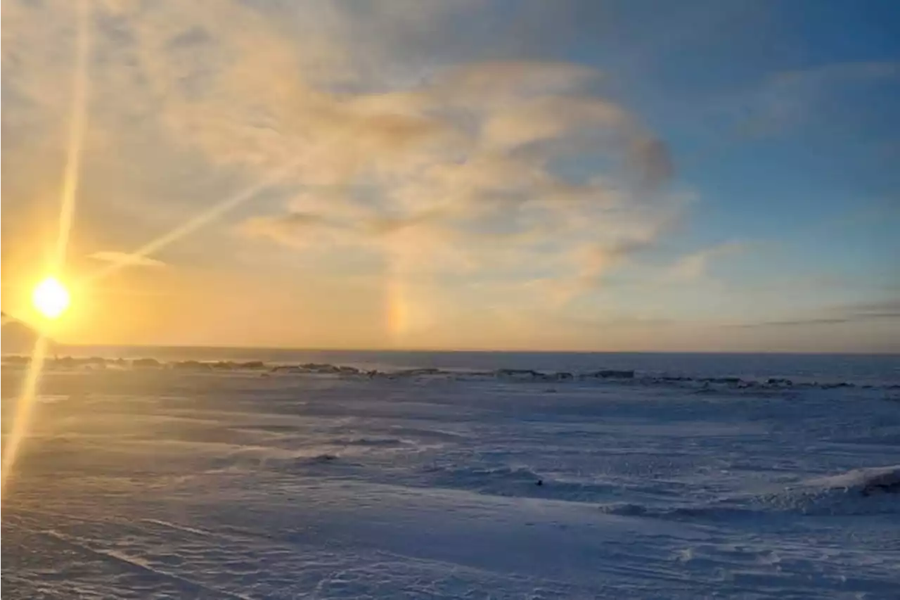 Polar bear emerged unseen from snowstorm to kill mom, son