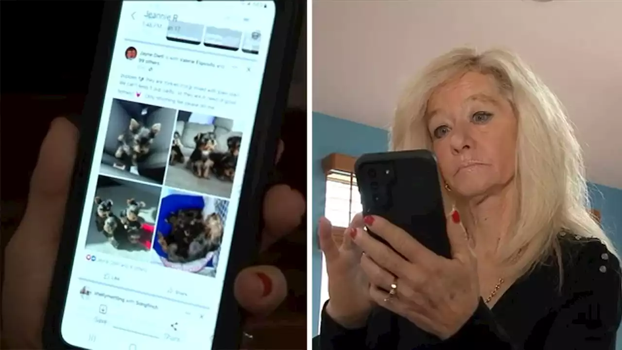 Northport resident warns of puppy scam advertised through her hacked Facebook account