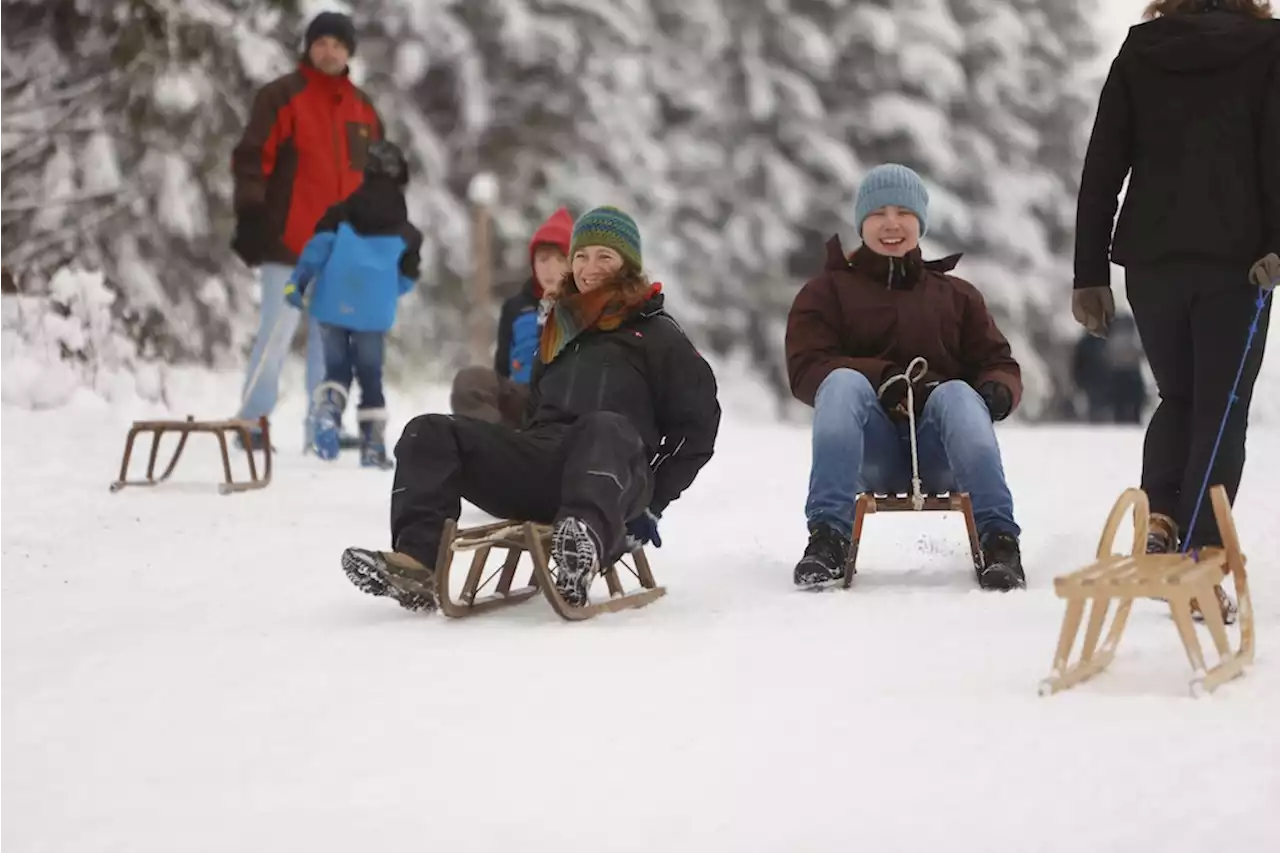 Winterliches Wochenende: Schlittenfahren in Brandenburg möglich