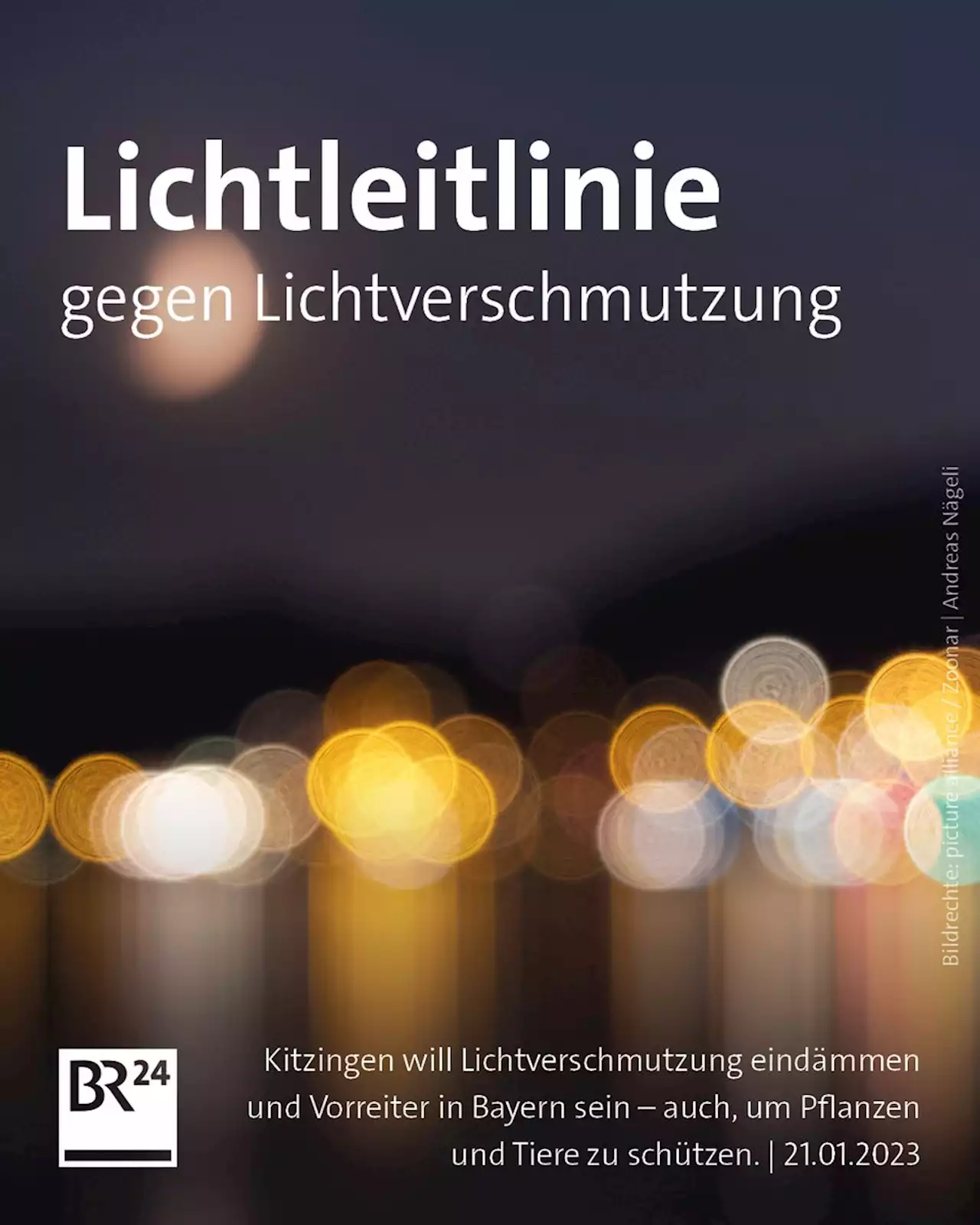 Lichtleitlinie in Kitzingen: Natur schützen und Energie sparen