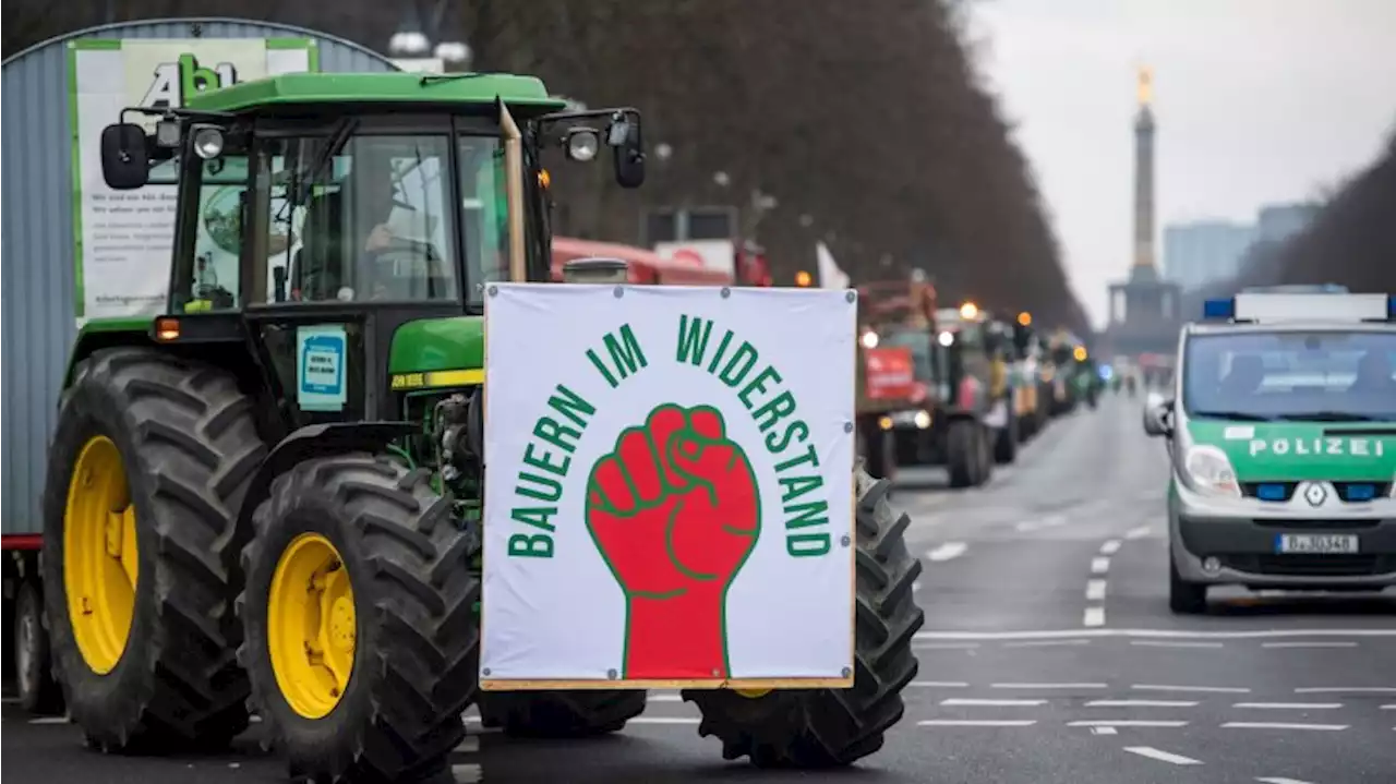 Mit Traktoren und Schweinefiguren: Protest für Agrarwende