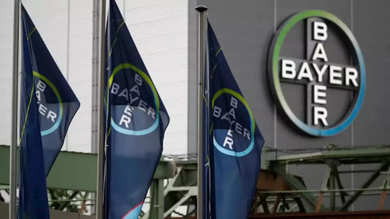 Inclusive Capital takes a stake in Bayer — 3 ways it may build value with a sustainable focus