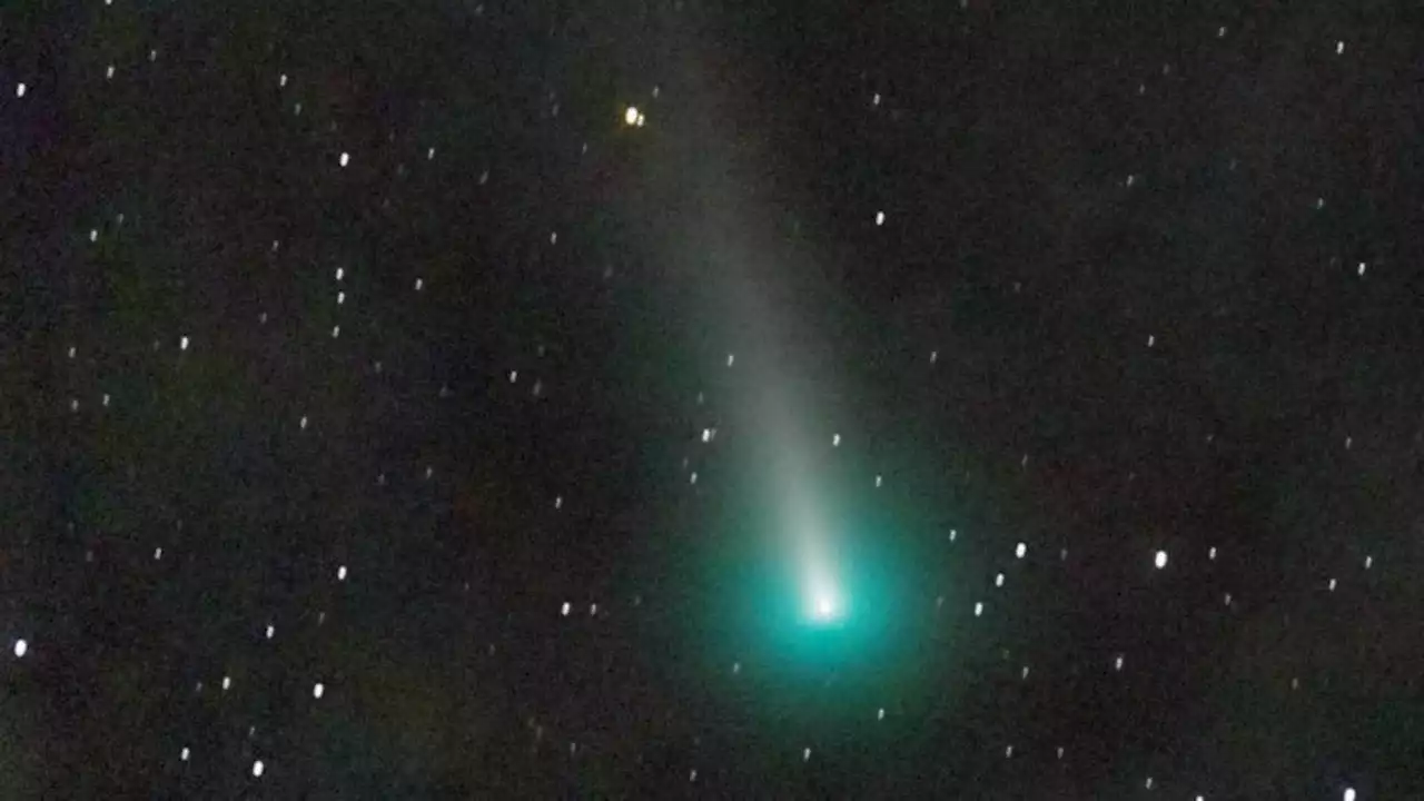 Espace : une comète attendue depuis 50.000 ans visible à l'oeil nu ce week-end