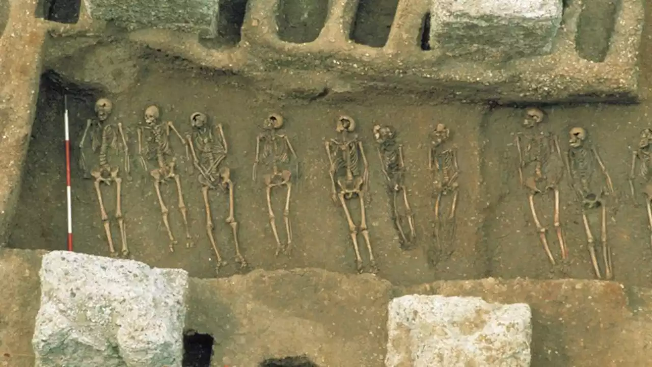 Origins of plague could have emerged centuries before outbreaks, new study suggests | CNN