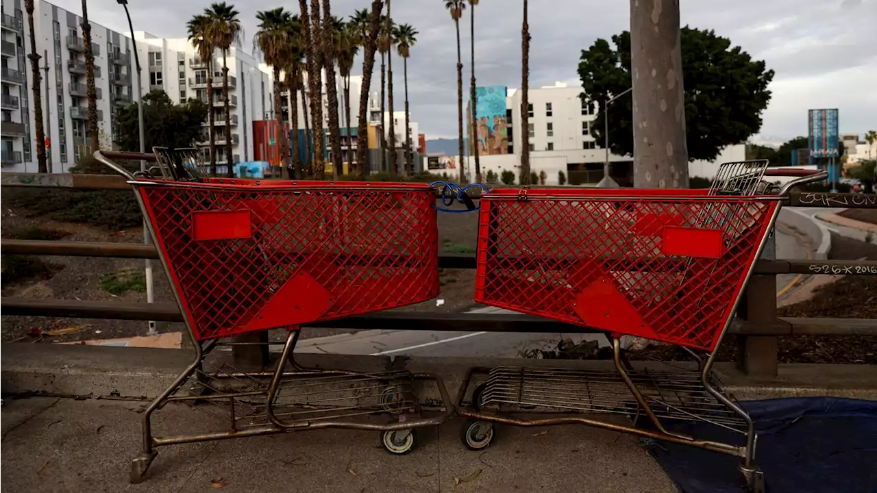 Los carritos de compras abandonados cuestan miles de dólares a los contribuyentes