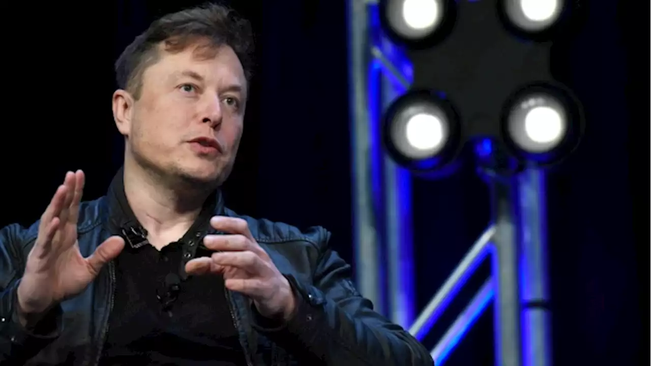 Elon Musk takes witness stand to defend Tesla buyout tweets