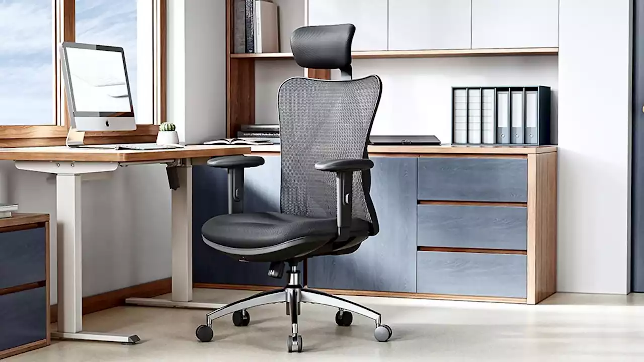 The best office chair for back pain in January 2023