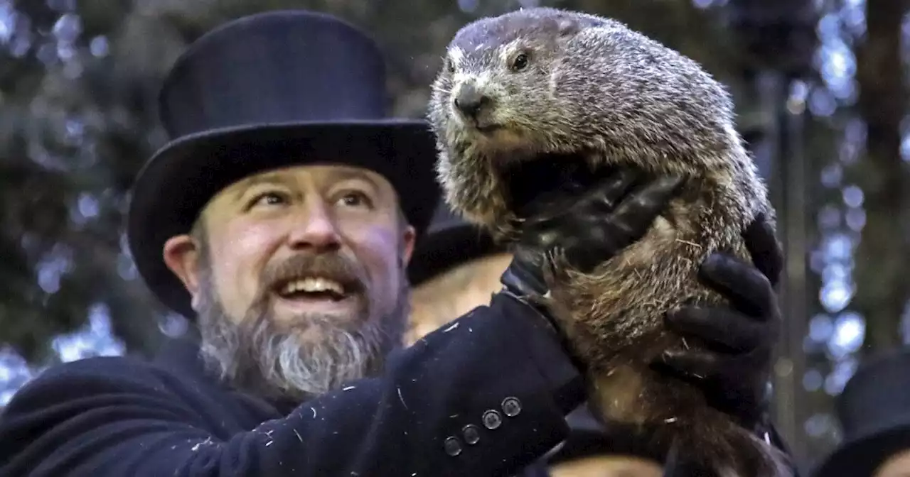 Punxsutawney Phil garners final Weather Discovery Center Hall of Fame induction