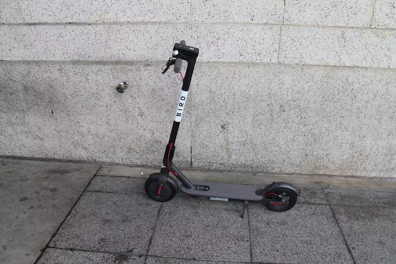 Bird Scooters Appeals To Courts After DDOT Rejected Its Permit Request