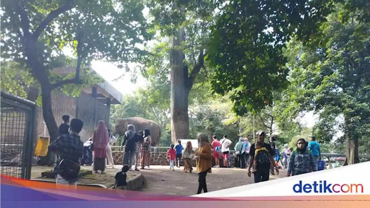 Libur Panjang, Warga Padati Taman Margasatwa Ragunan Hari Ini