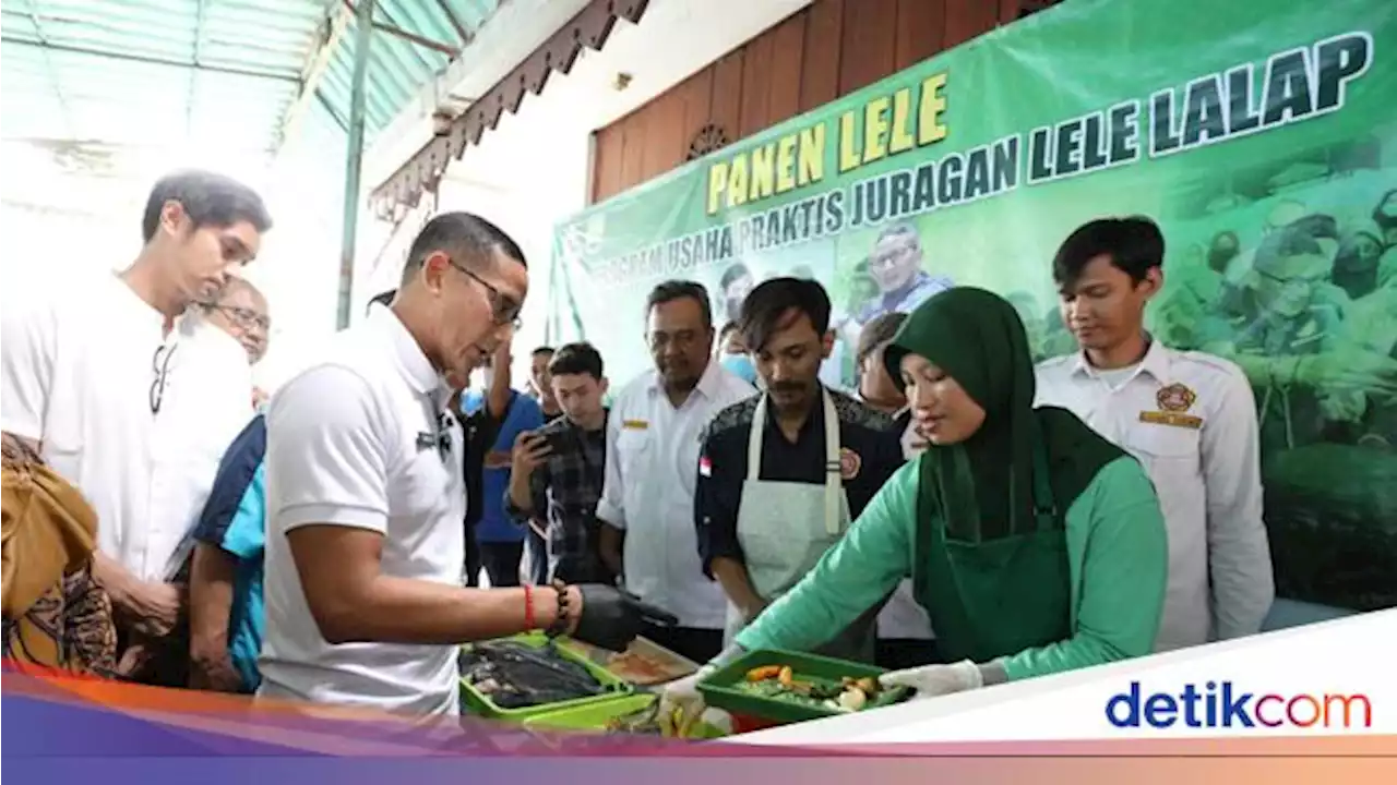 Sandiaga & Karang Taruna Kebon Baru Panen 295 Kg Lele Hasil Budikdamber