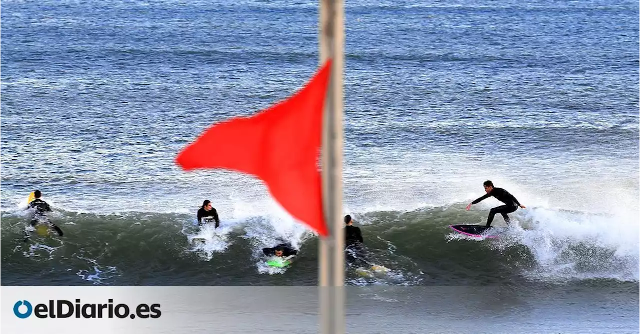 Los surfistas de Barcelona salen de la ilegalidad: “Era absurdo que nos multaran por entrar al agua con bandera roja”