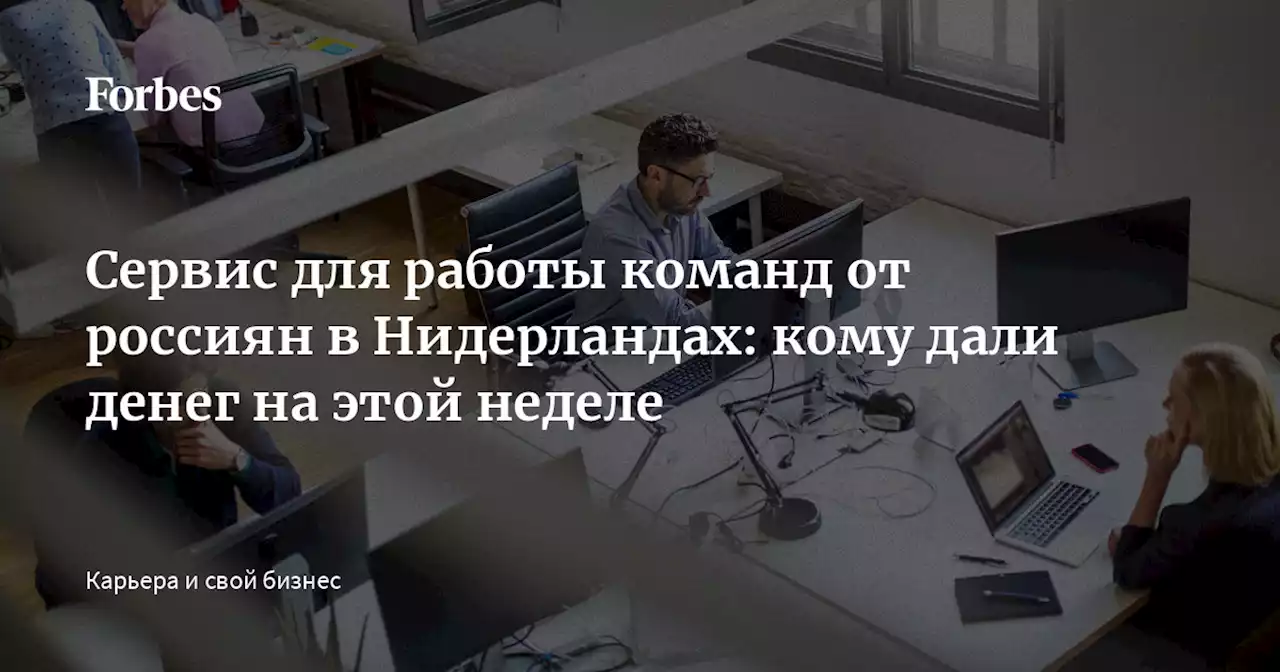 Сервис для работы команд от россиян в Нидерландах: кому дали денег на этой неделе