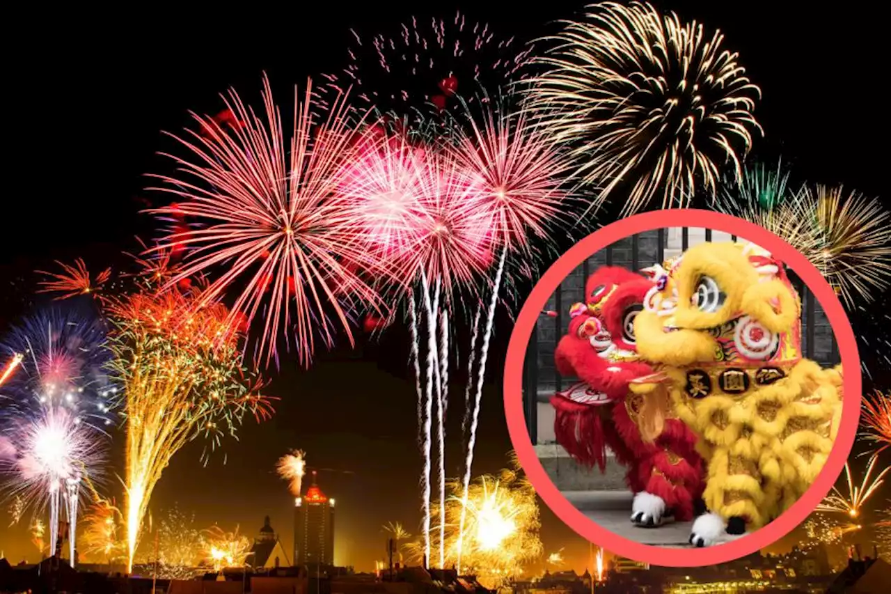 What is the Chinese New Year animal of 2023 amid of the lunar celebration?