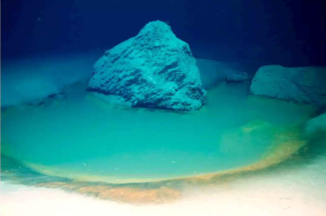 Newly discovered deadly pools beneath the ocean kill anything that swims into them