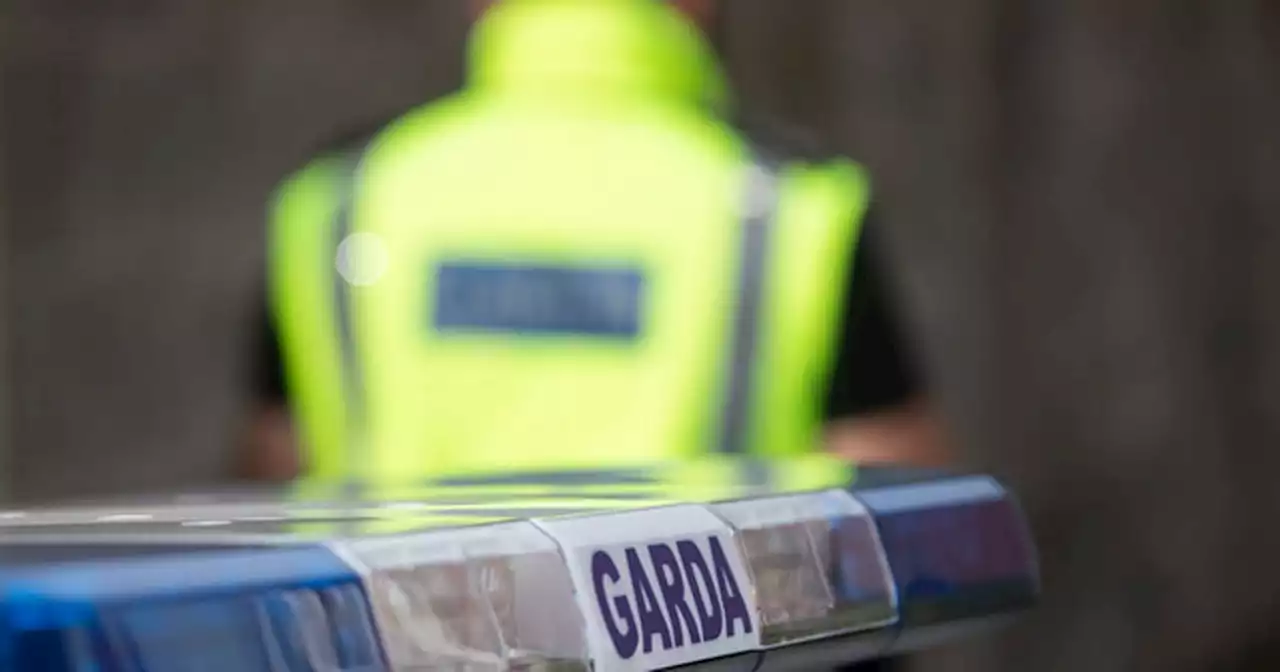 Garda left with finger hanging off after being bitten by thug during arrest
