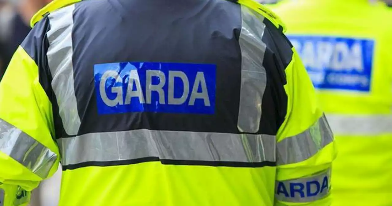 Woman, 30s, confirmed dead after gardaí alerted to car in river in Irish town