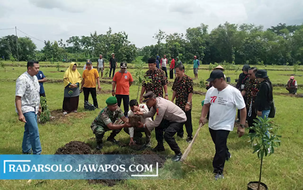 Atasi Stunting, Forkopimcam Polokarto Tanam Ribuan Buah Alpukat