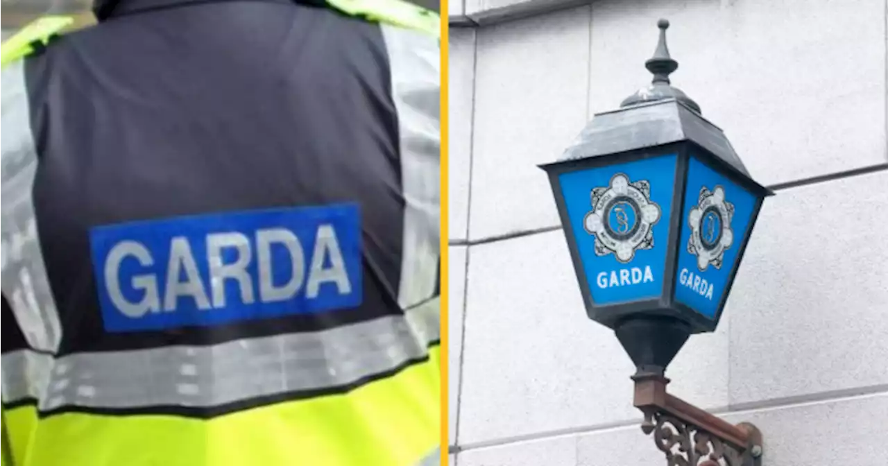 Witness appeal launched after Garda seriously assaulted in Dublin | JOE.ie