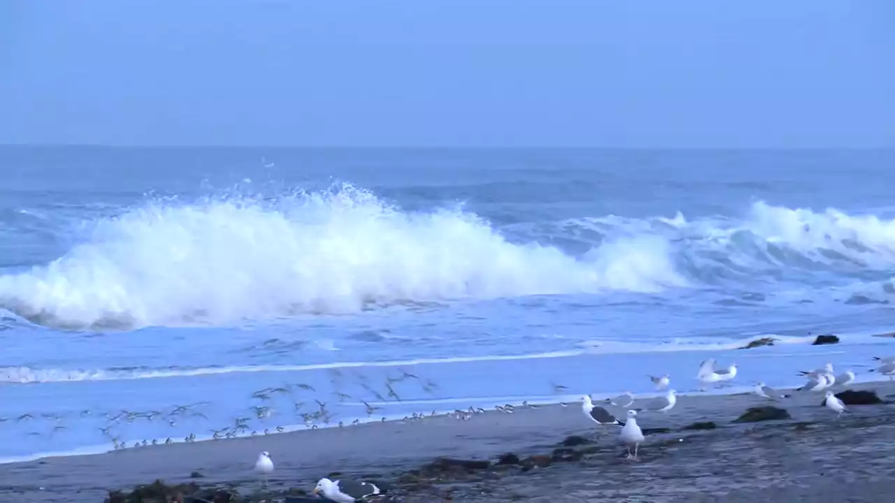 King tides threaten rain-washed coast days after storms -