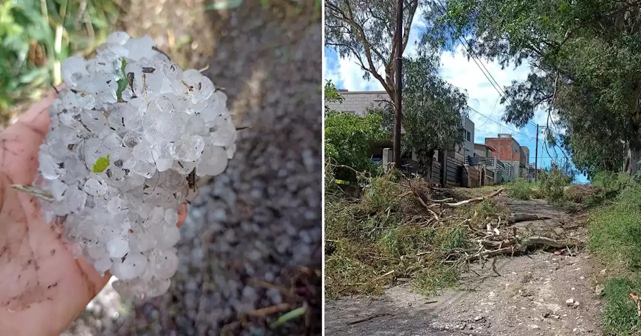 Villa San Nicolás: impresionante temporal de lluvia, viento y piedra dejó árboles caídos y vecinos sin luz | Ciudadanos | La Voz del Interior