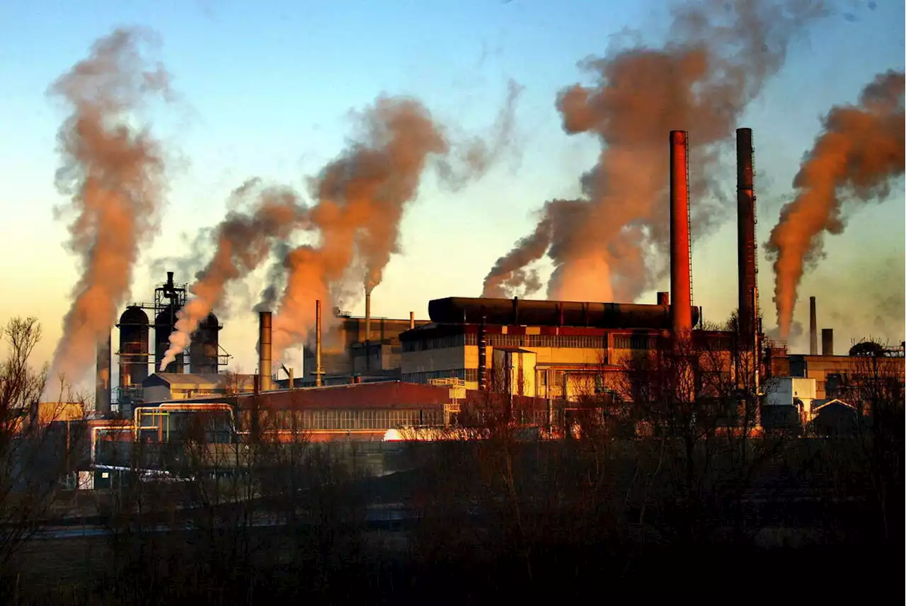 Pollution du site Metaleurop dans le Pas-de-Calais : huit cas de saturnisme détectés à l’issue d’un dépistage