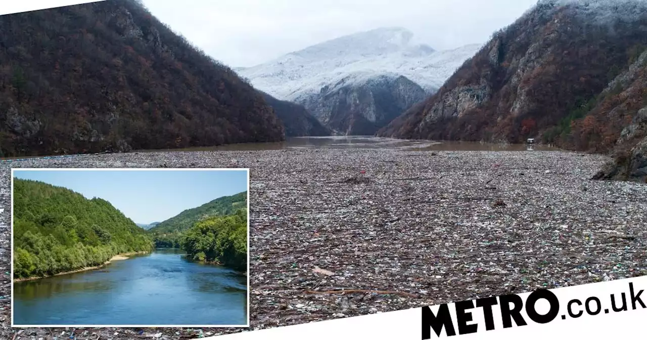 One of Europe's most beautiful rivers clogged by huge floating rubbish dump