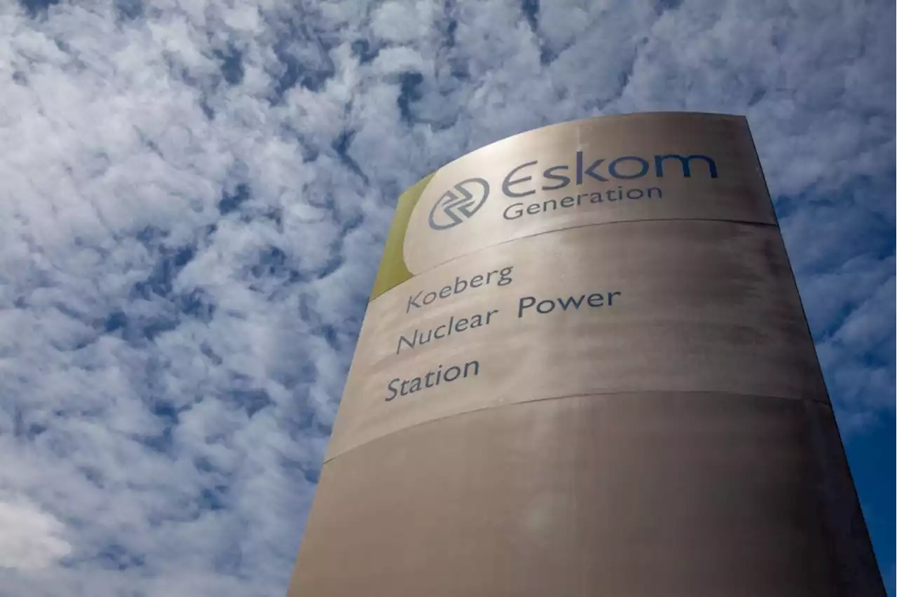 Mantashe’s axing of nuclear watchdog activist was unconstitutional, rules court