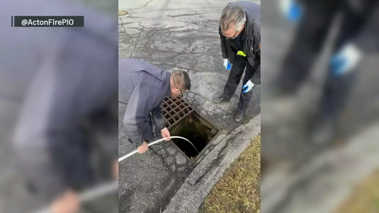 Firefighters Save Young Girl's Birthday By Rescuing Her Doll From a Storm Drain