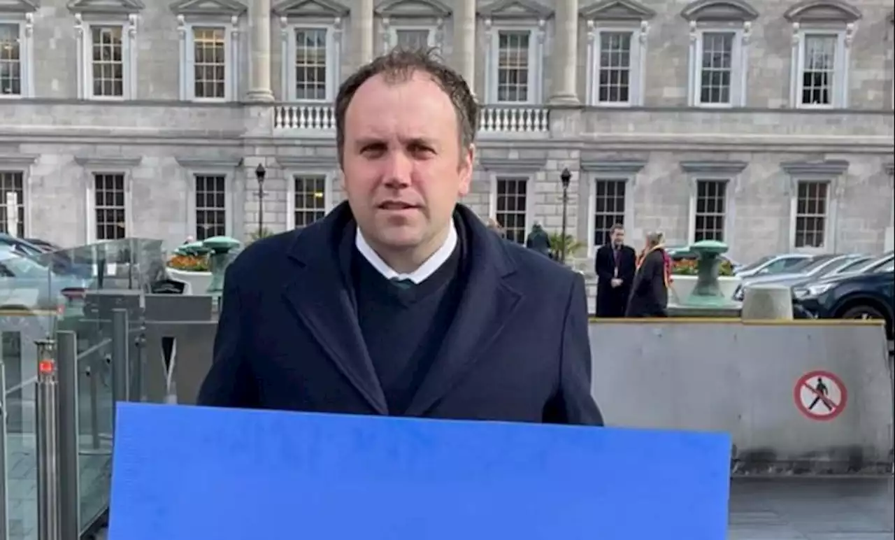 Asylum seekers: Ireland should be 'guided by capacity mapping' - TD
