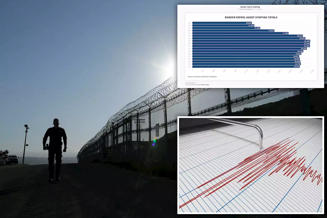 US Border Patrol polygraph test wipes out half of eligible applicants