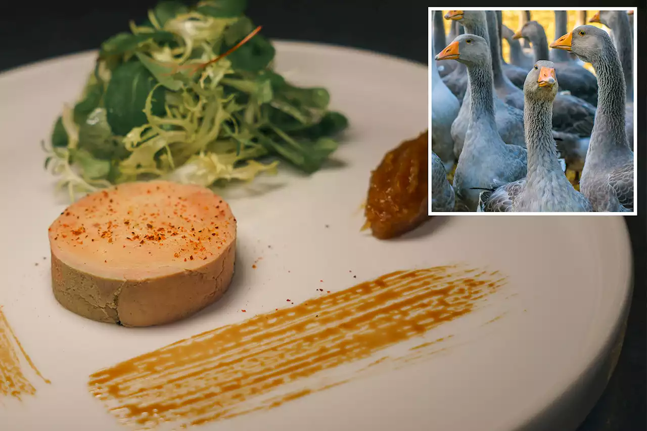 Wild goose chase: NYC sues state to enforce foie gras ban