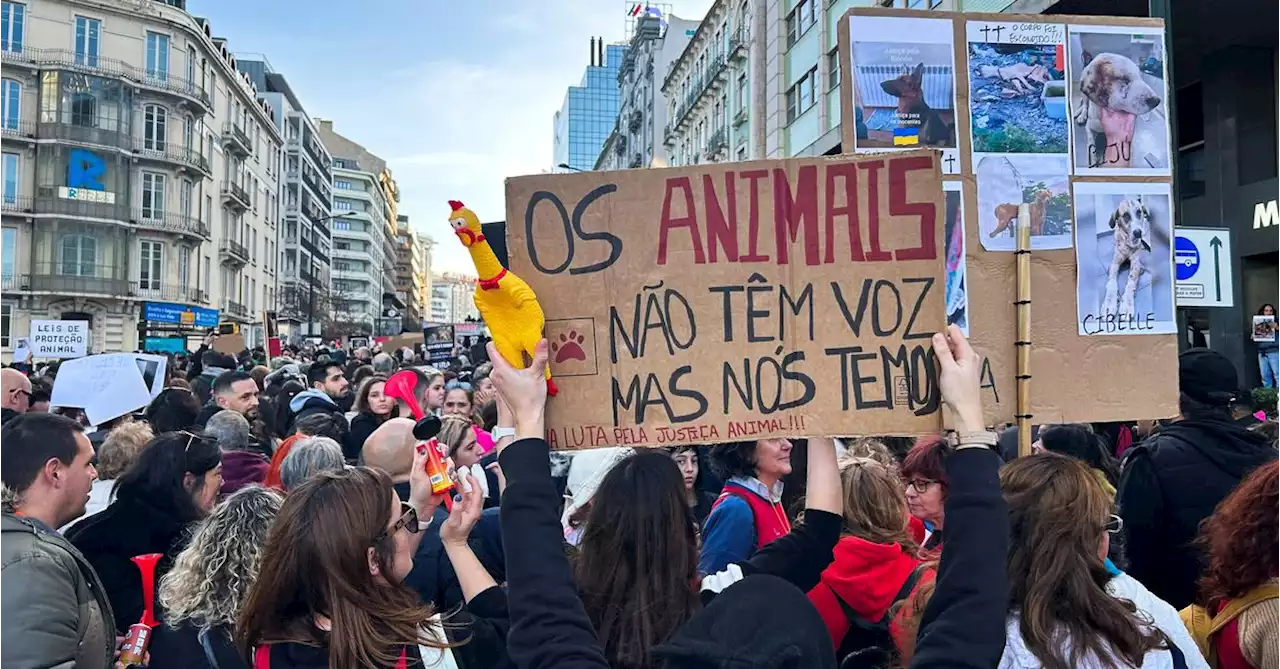 Thousands protest in Lisbon for animal rights amid constitutional dispute