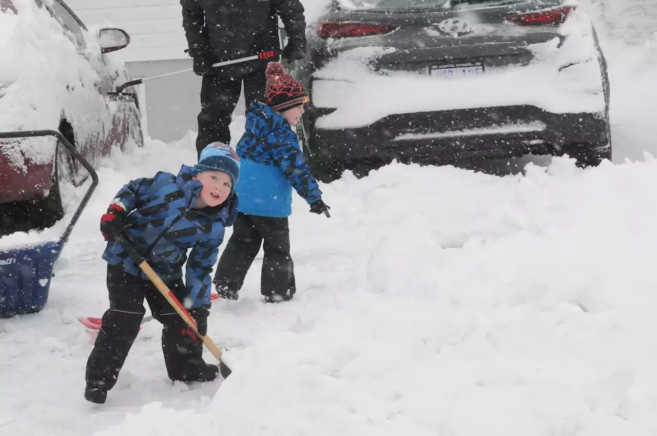 Accidents, closures mark first major snowfall for St. John’s region | SaltWire