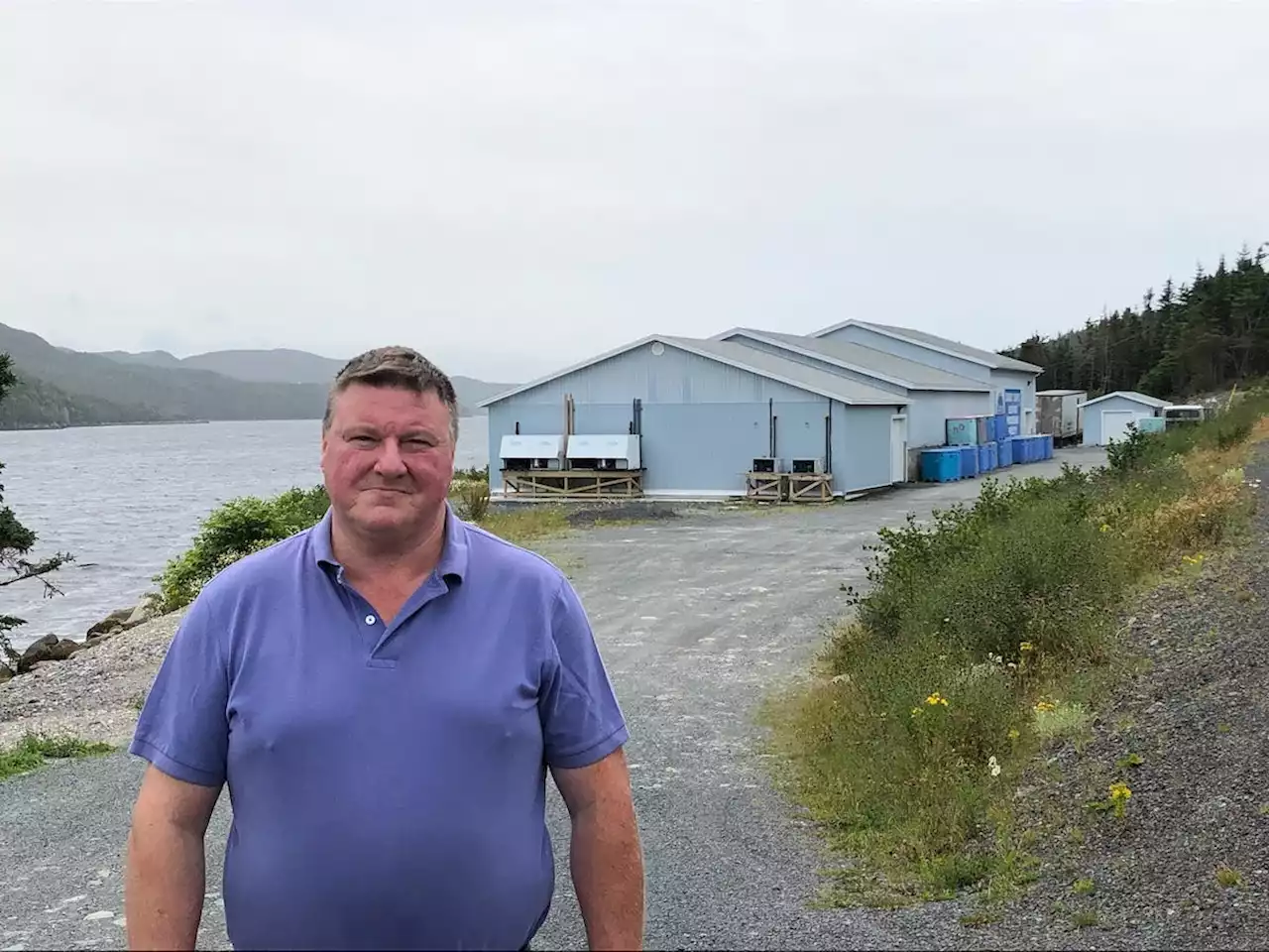 Newfoundland processors ready to add crab to their lineup in 2023 | SaltWire