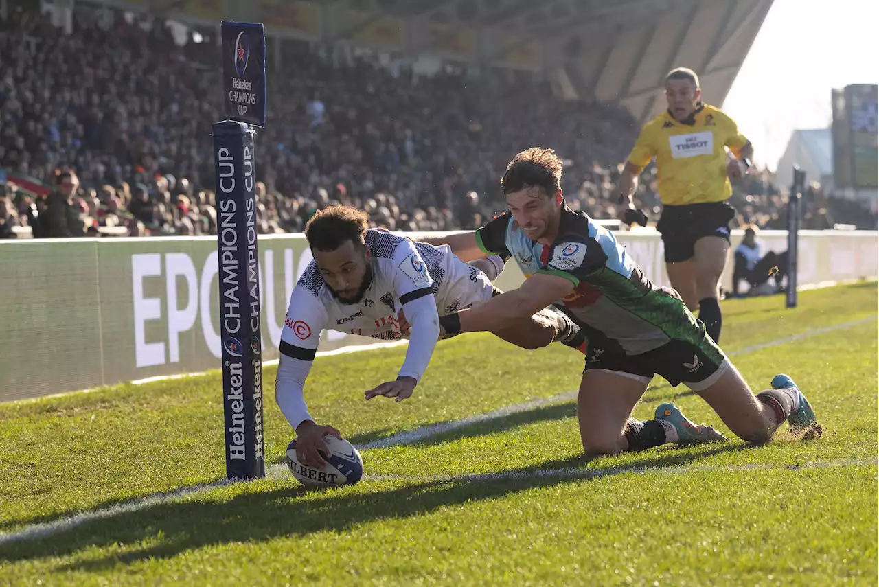 Sharks go down fighting at The Stoop