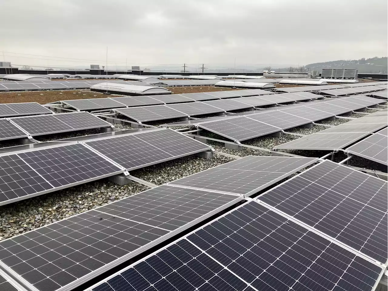 Grösste Solaranlage im Kanton Thurgau - Schweizer Bauer