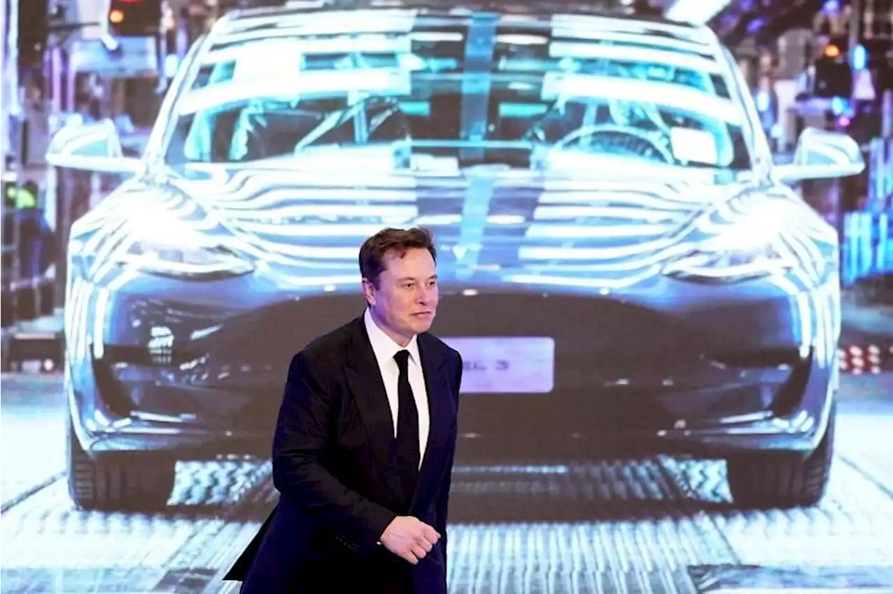 Musk to jury: Just because I tweet something, doesn't mean people believe it