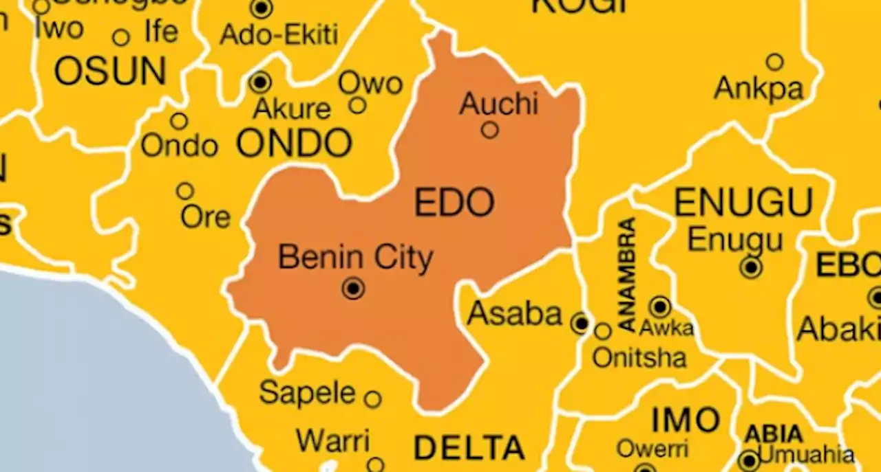 'Fake police inspector' arrested as NDLEA razes cannabis warehouses in Edo forest | TheCable