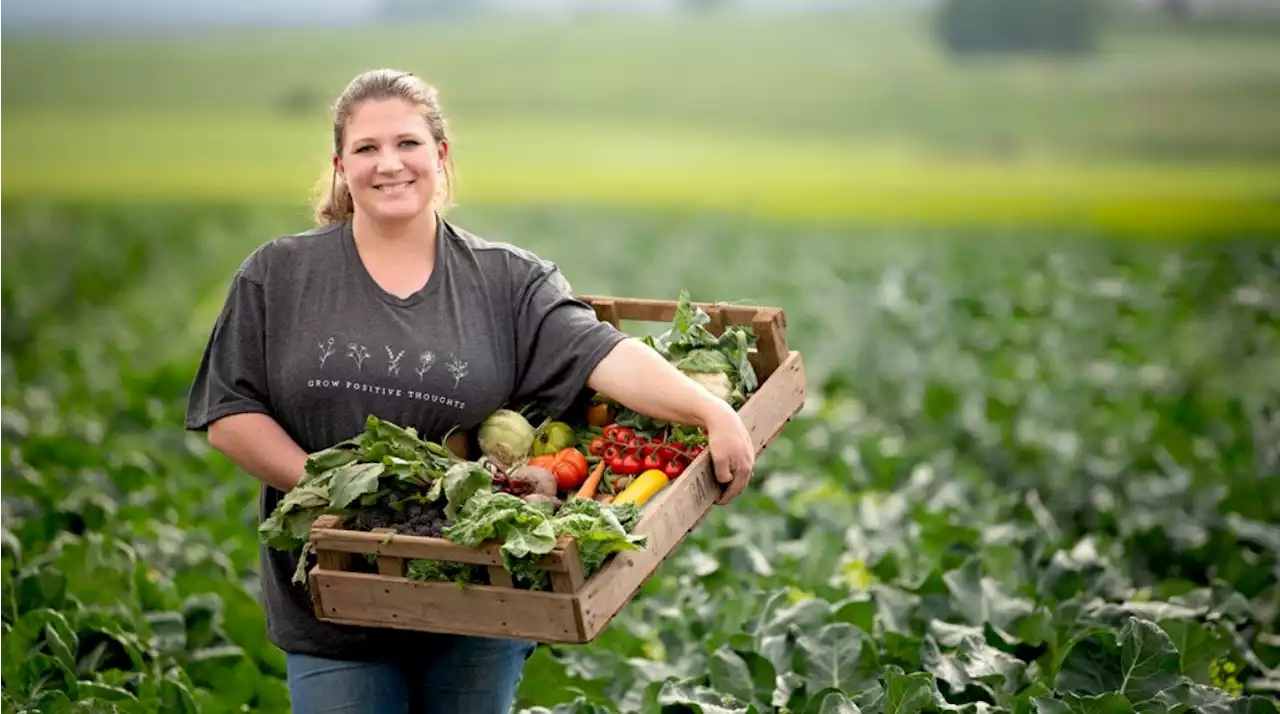 Potato shortage and price rise warning as farmers turn away from Britain's favourite vegetable