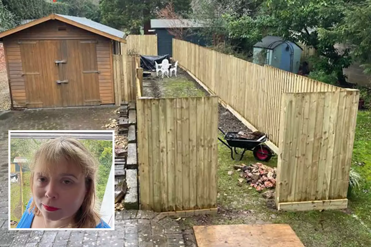 My neighbour put up 'sheep pen' in our garden so she'd have her own section