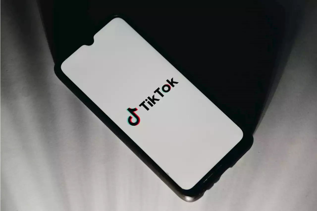 2 Minnesota Brothers Investigated in TikTok Gambling Scheme