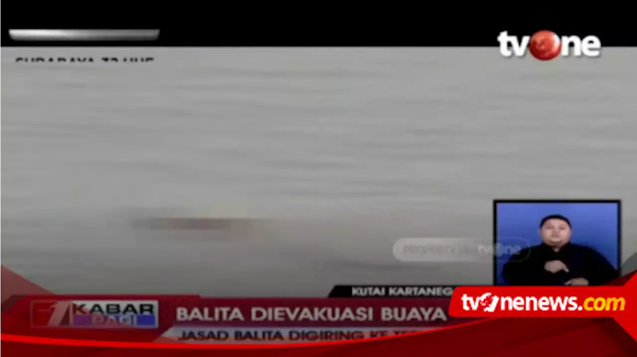 Bak Kisah Fiksi, Seekor Buaya Selamatkan Jasad Balita di Sungai Mahakam