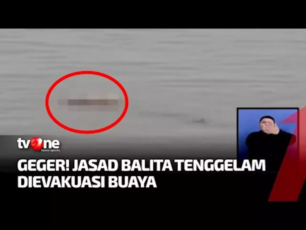 Seekor Buaya Evakuasi Bayi di Sungai - tvOne