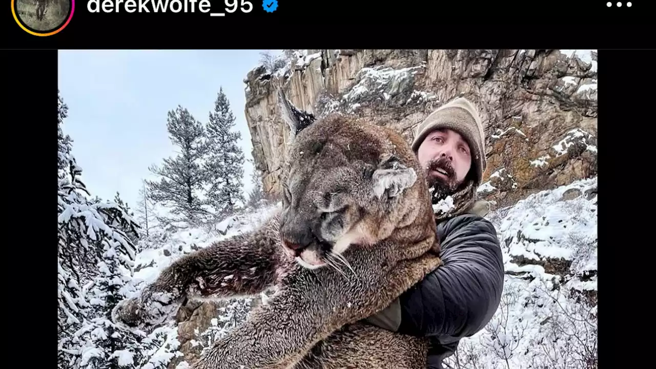 Former NFL DL Derek Wolfe kills mountain lion 'wreaking havoc' in a rural Colorado neighborhood