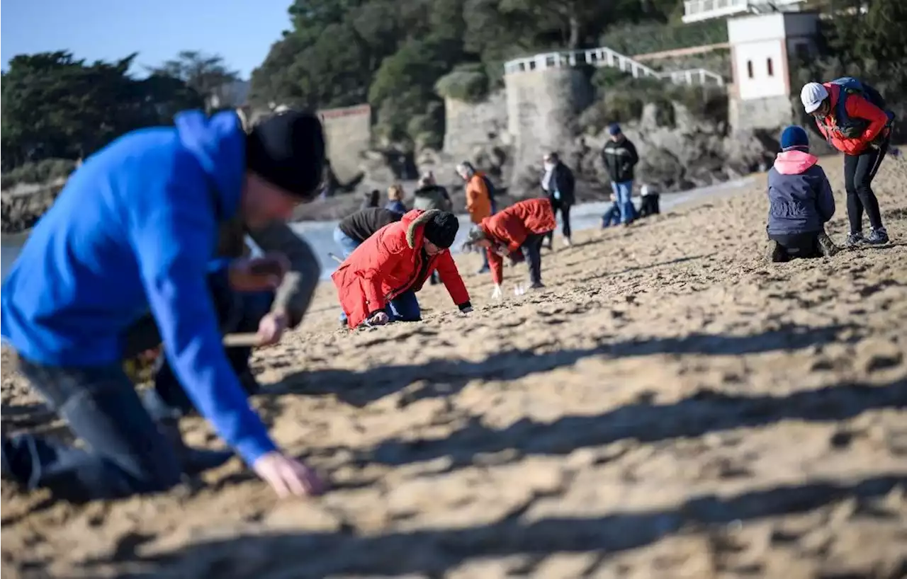 En Loire-Atlantique, mobilisation après la pollution aux billes plastique