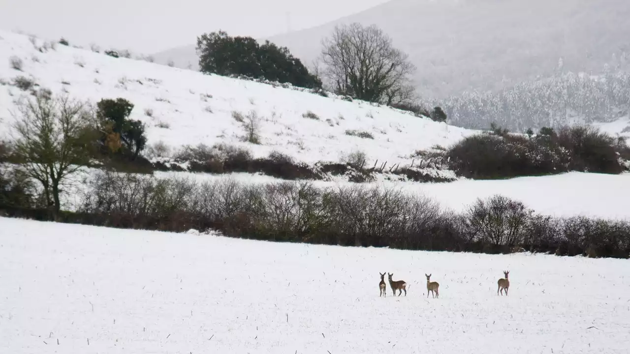 Masa de aire polar: así afectarán las temperaturas gélidas a España esta semana según la Aemet