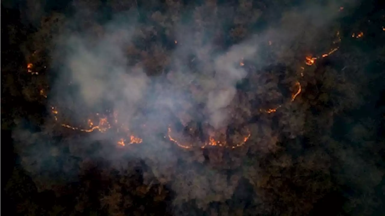 Corrientes, Entre Ríos y Neuquén registran incendios forestales activos