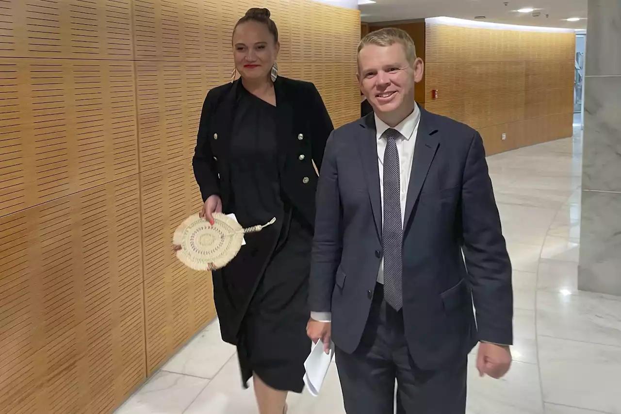 Chris Hipkins confirmed as New Zealand leader, picks deputy